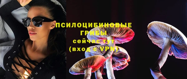 дживик Навашино