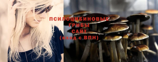 мдпв Михайлов
