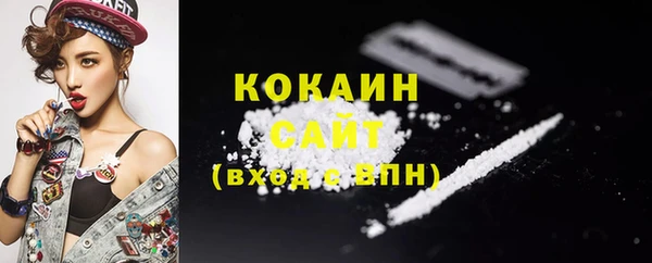 дживик Навашино
