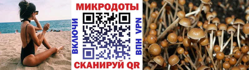 Псилоцибиновые грибы мухоморы  Купить  Каспийск 